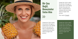 Seyahat Rehberi Ve Oteller Için Platform Şablonunu Başlatın