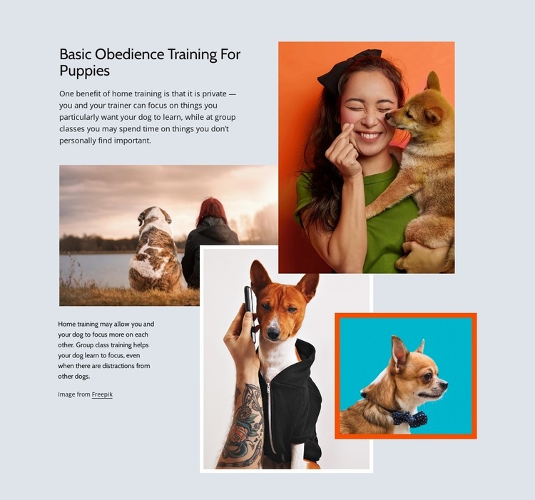 Basic obedience Homepage Design