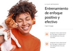 Entrenamiento De Enfoque Positivo - Creador De Sitios Web Moderno