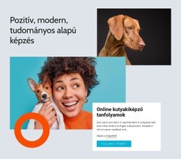 Modern Tudományos Alapú Képzés – Webhelysablon Letöltése