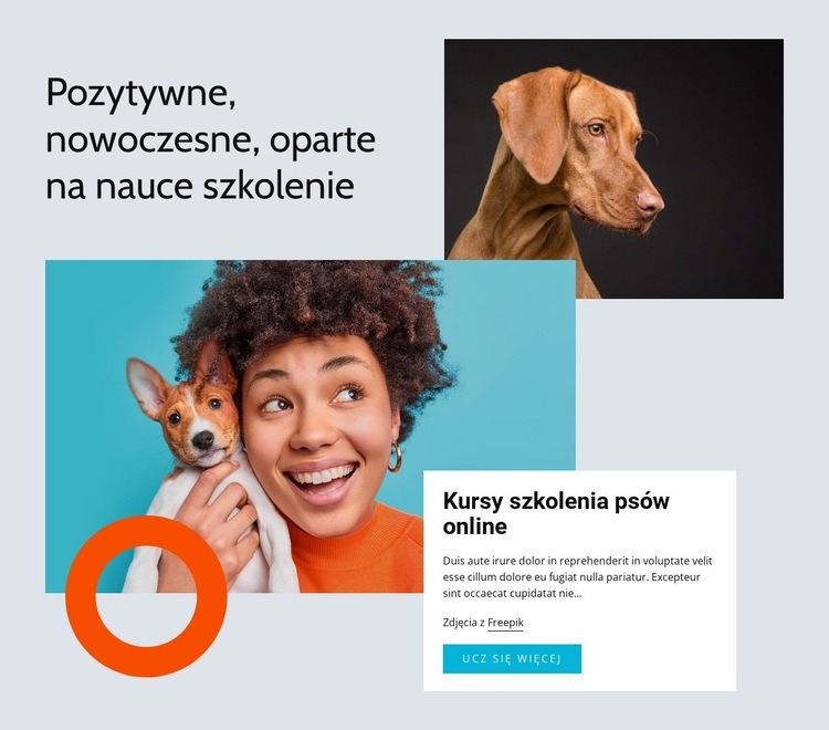 Nowoczesne szkolenia oparte na nauce Projekt strony internetowej