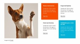 Cachorro Bem Treinado - Construtor De Sites Moderno