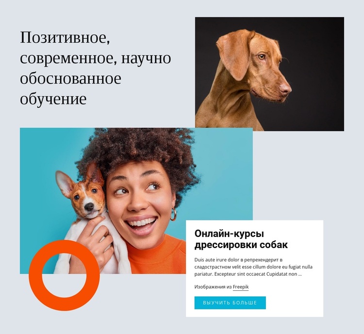 Современное наукоемкое обучение WordPress тема