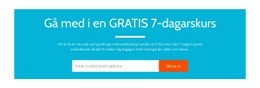 Gå Med I En Gratis 7-Dagarskurs - Anpassat WordPress-Tema