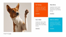 HTML Web Site For Well-Trained Dog
