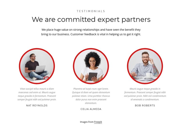 Expert partners CSS Template