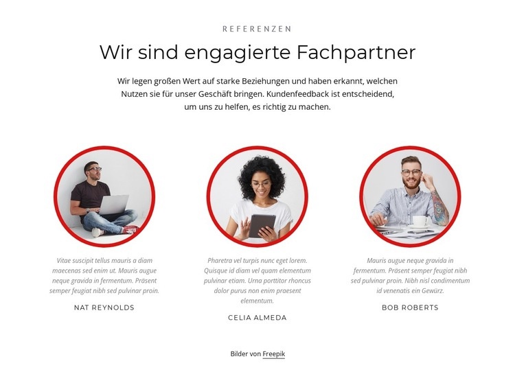 Kompetente Partner Eine Seitenvorlage