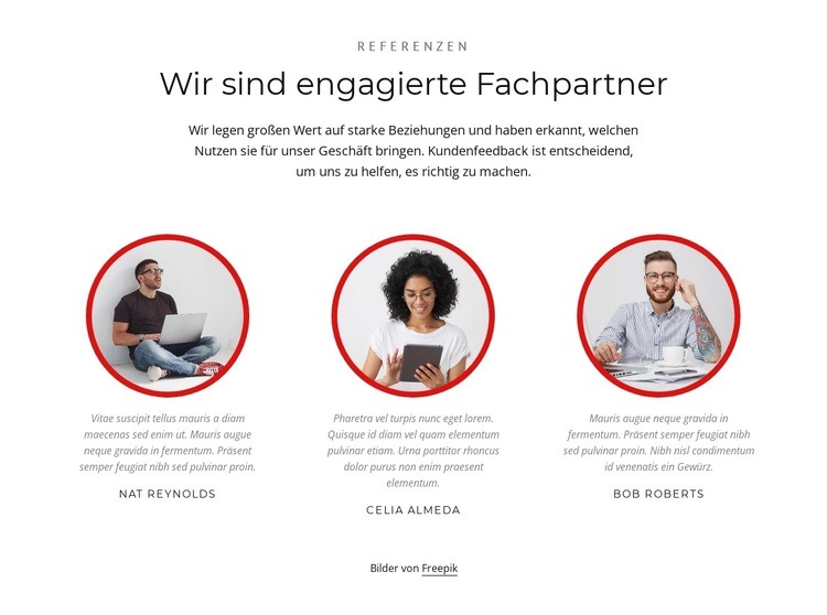 Kompetente Partner Website-Modell