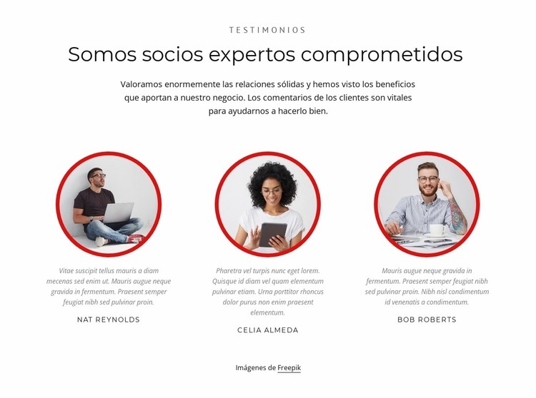 Socios expertos Plantilla HTML5