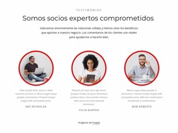 Socios Expertos - Plantilla Joomla Multipropósito