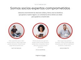 Socios Expertos