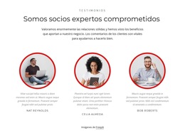 Socios Expertos