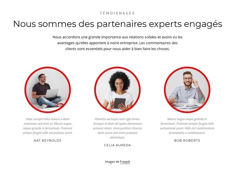 Partenaires experts Modèles de constructeur de sites Web