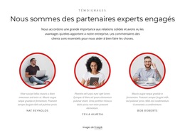 Partenaires Experts : Modèle De Site Web Simple
