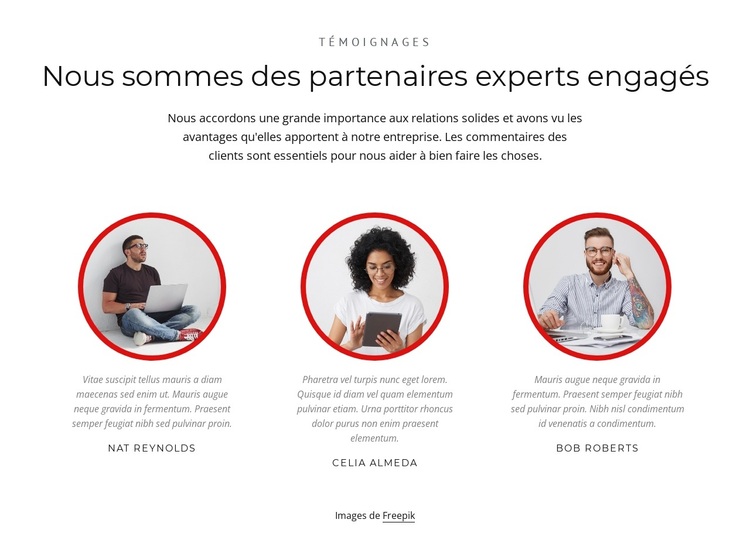 Partenaires experts Thème WordPress