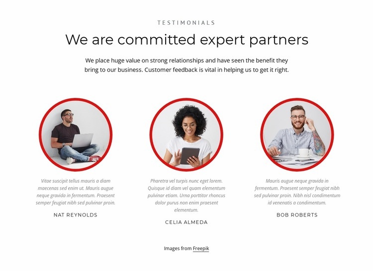Expert partners Homepage Design
