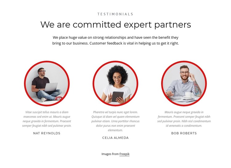 Expert partners HTML Template