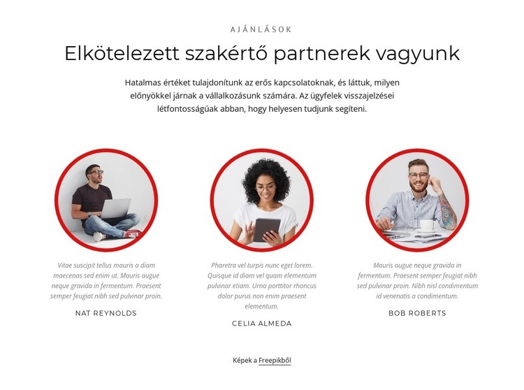 Szakértő partnerek WordPress Téma