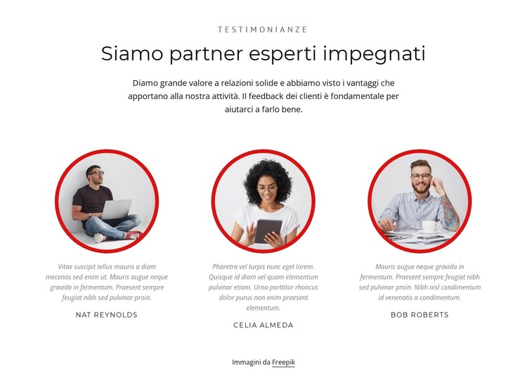 Partner esperti Modello HTML