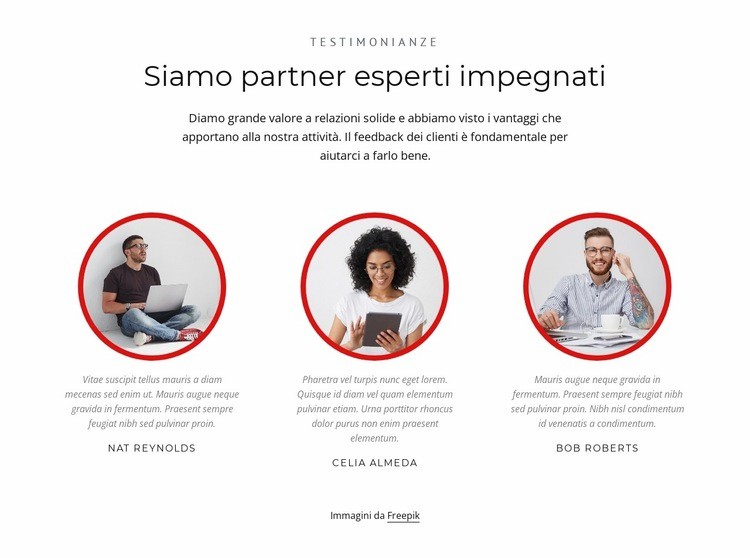 Partner esperti Un modello di pagina