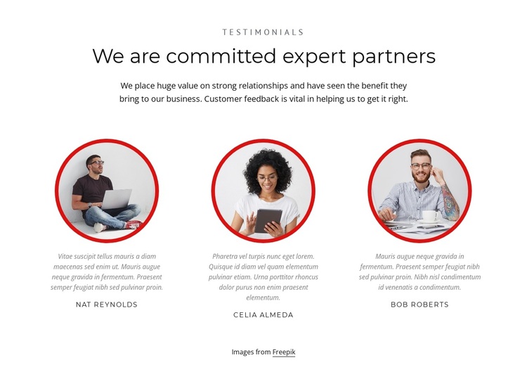Expert partners Joomla Page Builder