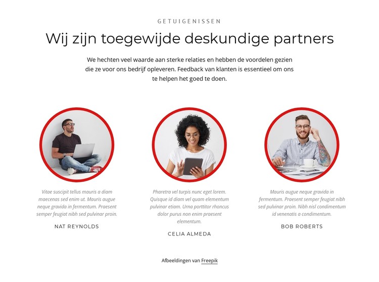 Deskundige partners CSS-sjabloon