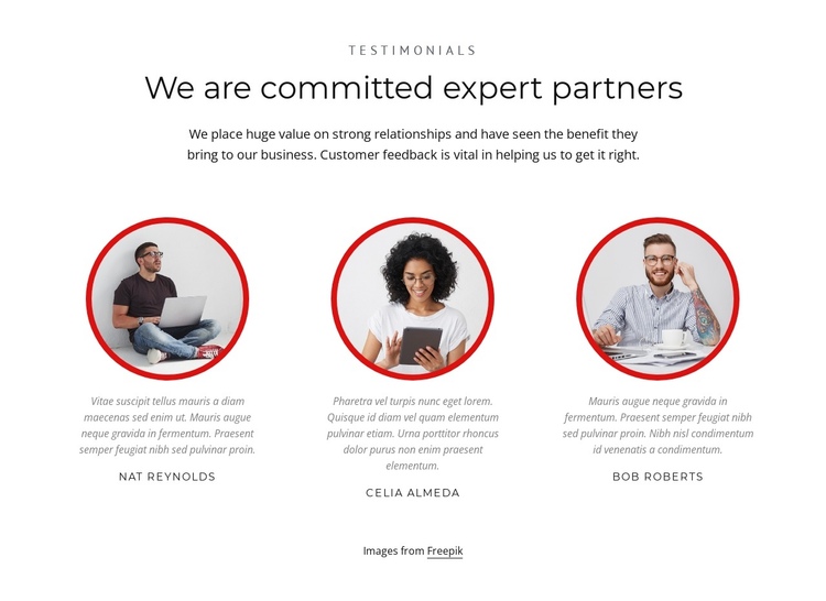 Expert partners One Page Template