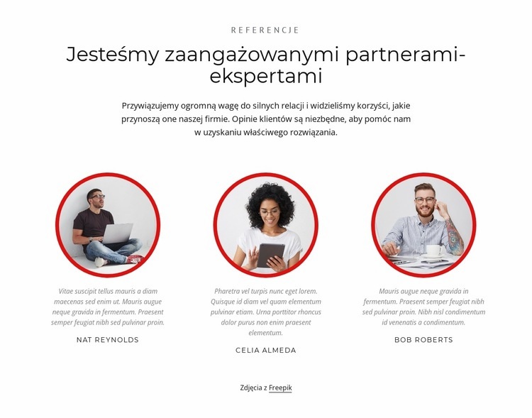 Partnerzy-eksperci Szablony do tworzenia witryn internetowych