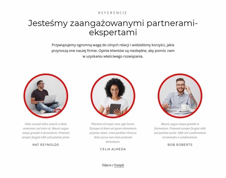 Partnerzy-eksperci Projekt strony internetowej