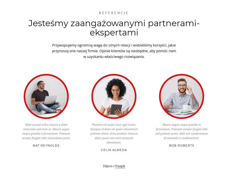 Partnerzy-eksperci Szablon CSS