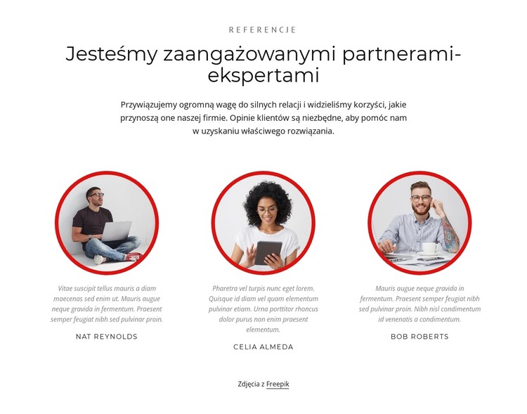 Partnerzy-eksperci Szablon HTML