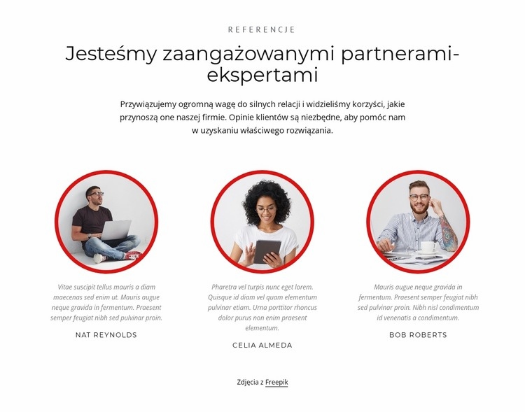 Partnerzy-eksperci Szablon jednej strony