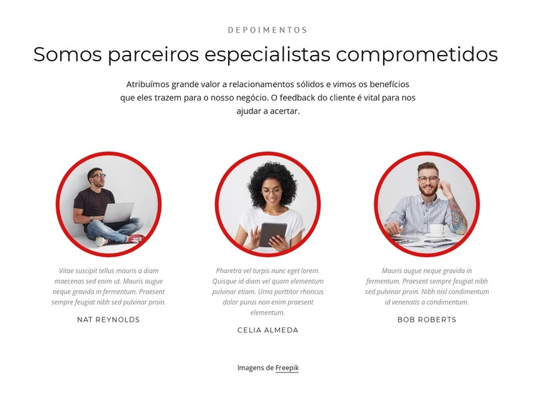 Parceiros especialistas Modelo HTML