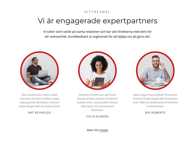 Expertpartners Hemsidedesign