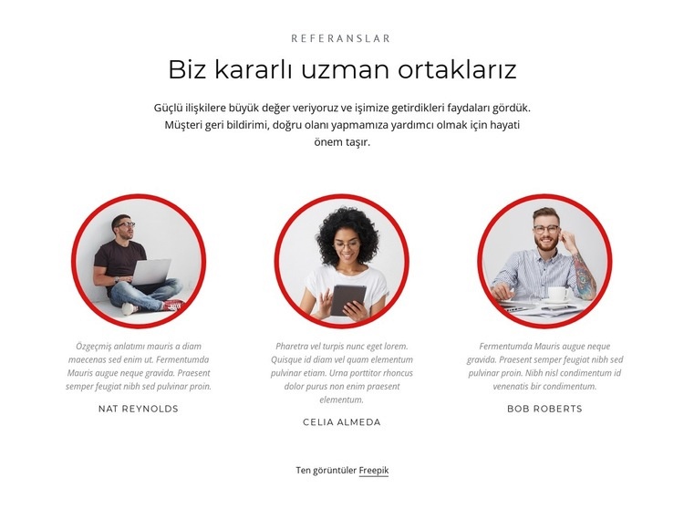 Uzman ortaklar Html Web Sitesi Oluşturucu