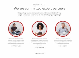 Expert Partners