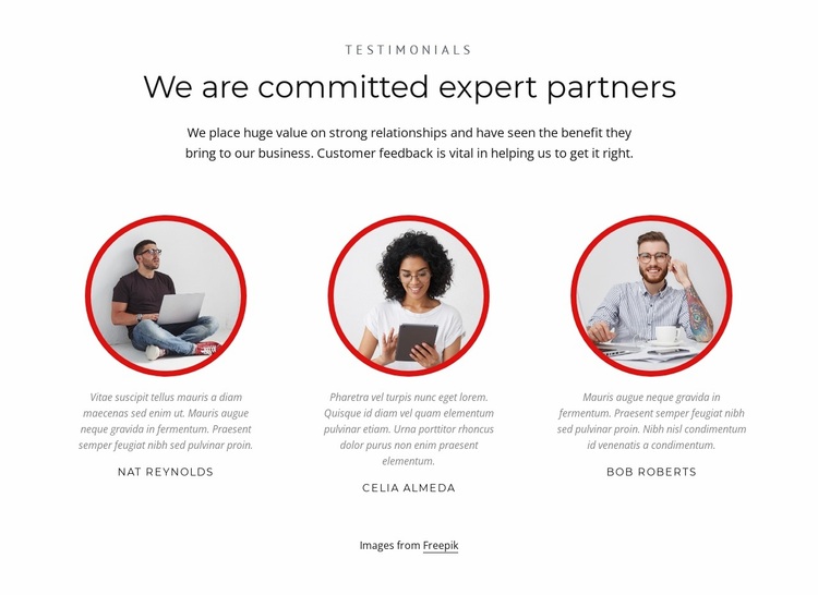 Expert partners Website Design