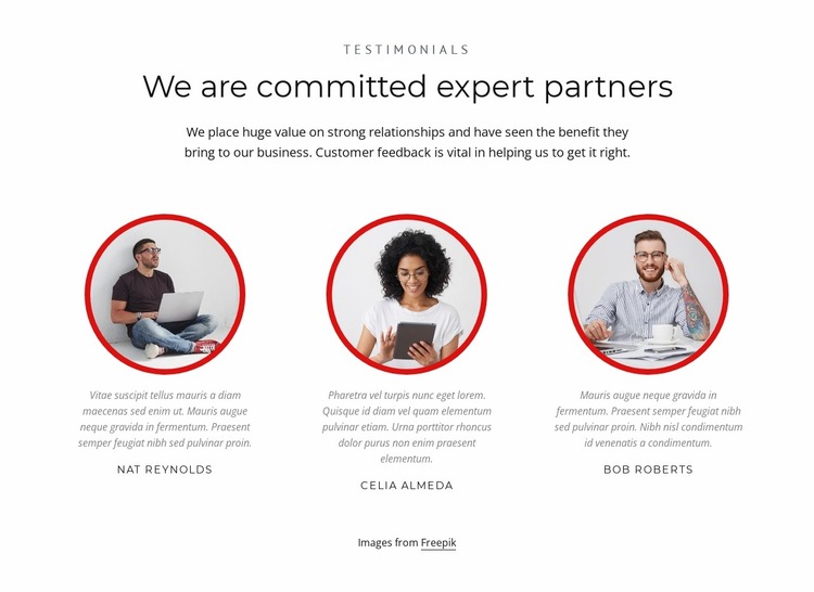 Expert partners Website Mockup