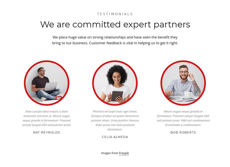 Expert partners WordPress Theme
