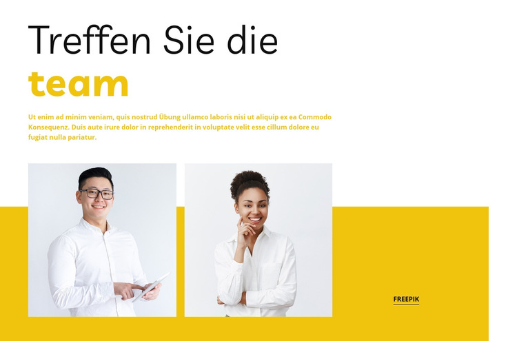 Treffen Sie unser Business-Team Website-Vorlage