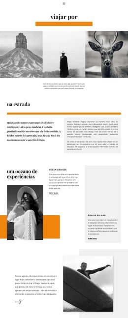 Locais Na Selva - HTML Page Creator