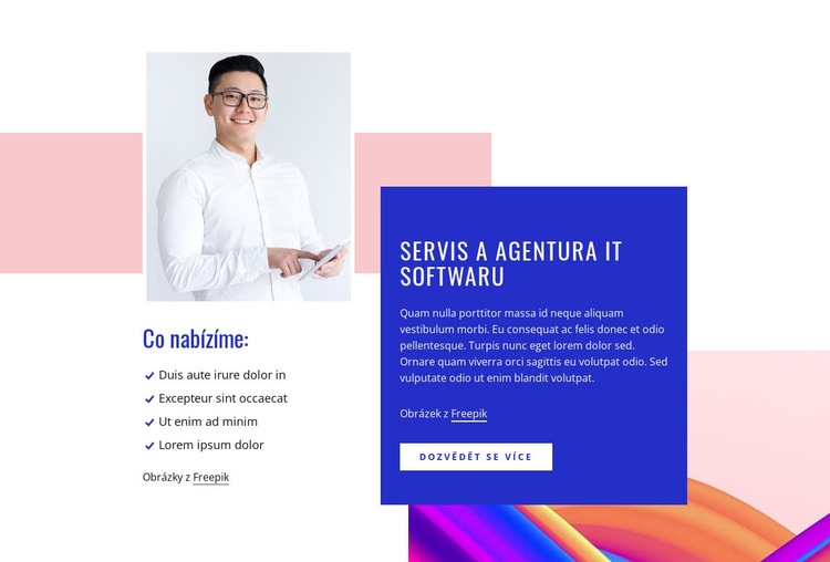 Softwarová služba IT Šablona HTML