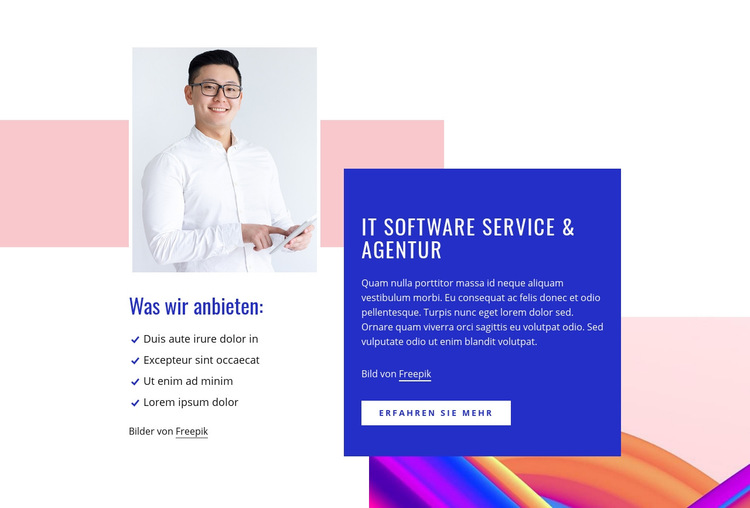 IT-Software-Service Website-Vorlage