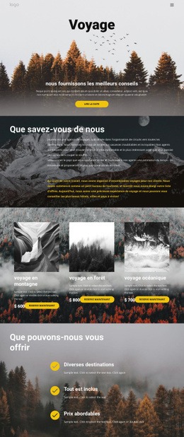 Voyage En Solo Sauvage - Belle Maquette De Site Web