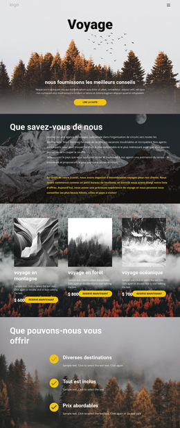 Disposition Du Site Web Pour Voyage En Solo Sauvage