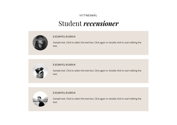 Handelsstudenter recensioner WordPress -tema