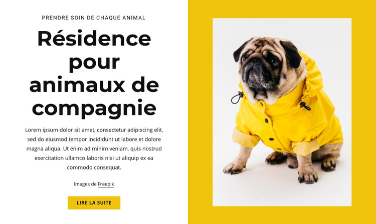 Hôtel pour animaux de compagnie et animaux Modèle de site Web