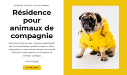 Hôtel Pour Animaux De Compagnie Et Animaux