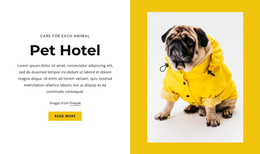 Site Template For Pet And Animal Hotel