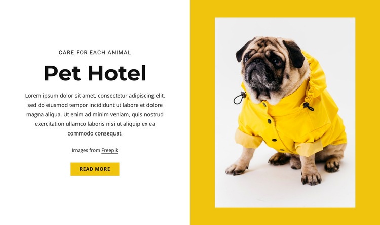 Kisállat és állat szálloda Html Weboldal készítő